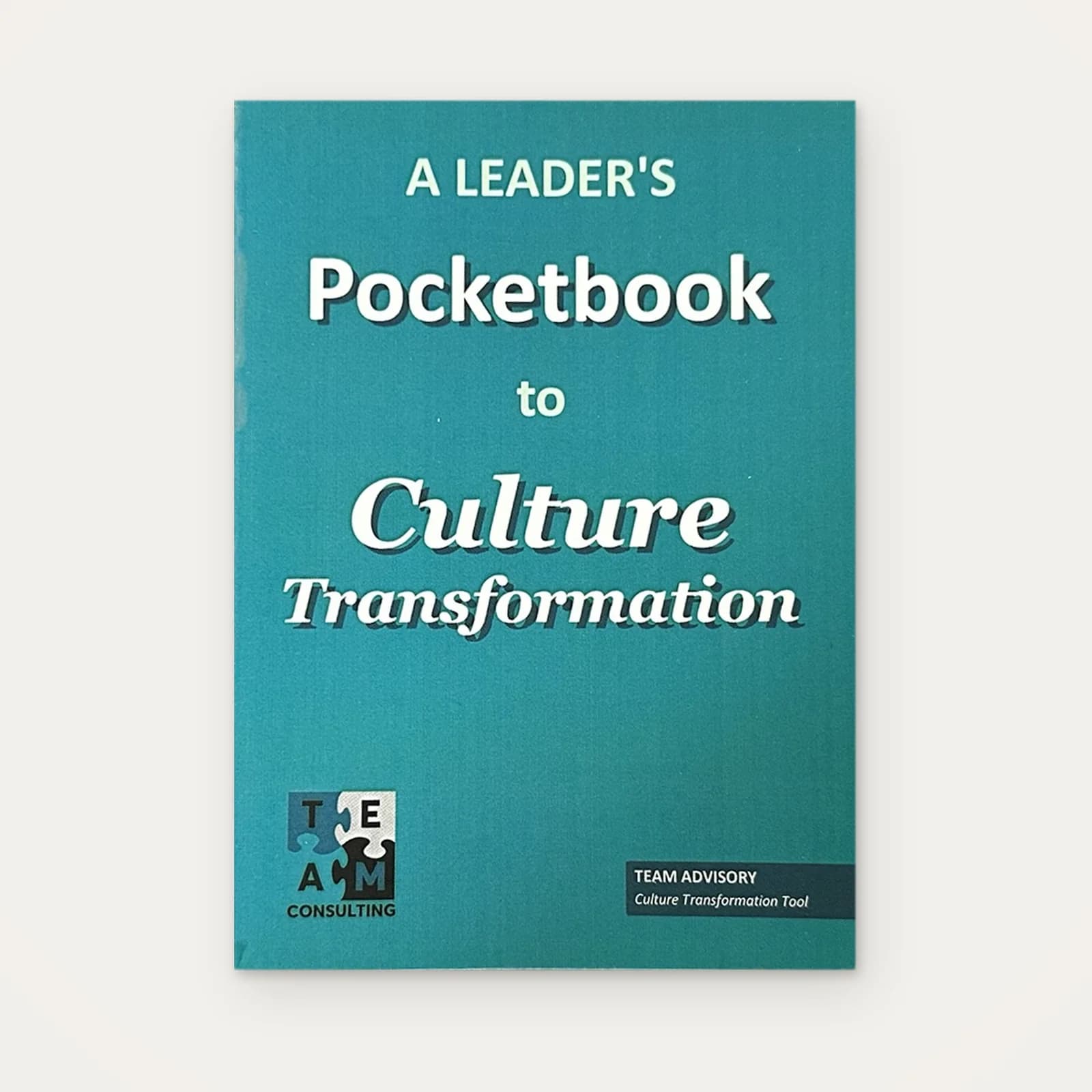 A Leader's Pocketbook to Culture Transformation, front cover