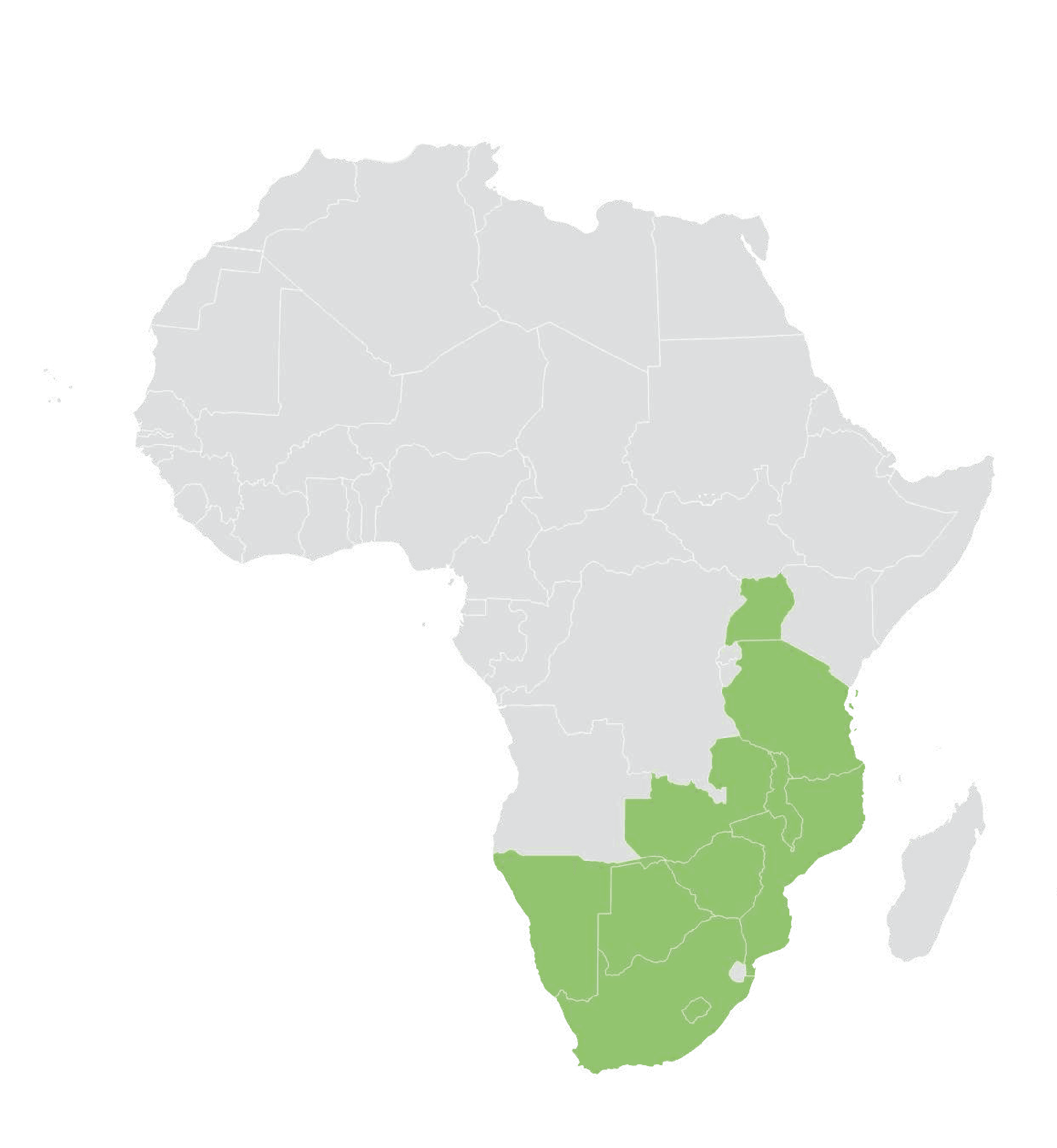 Map of Africa highlighting the southern and eastern African countries where TEAM works